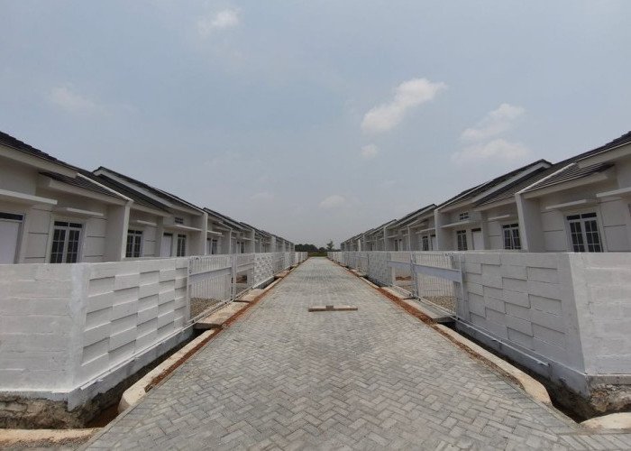 Asosiasi Developer Ini Serap Dana Rumah Subsidi Rp8,63 Triliun