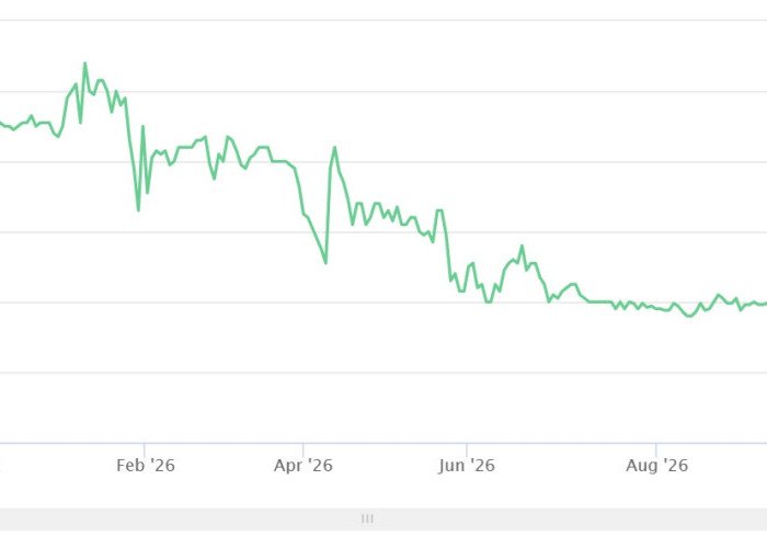 Giliran PNSE Ngasih Cuan Badak Buat Investor