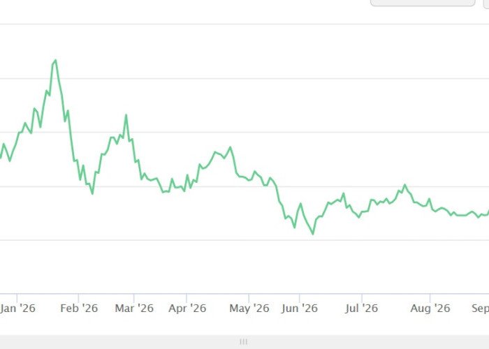 Transaksi Saham BUVA Tembus Rp285 Miliar
