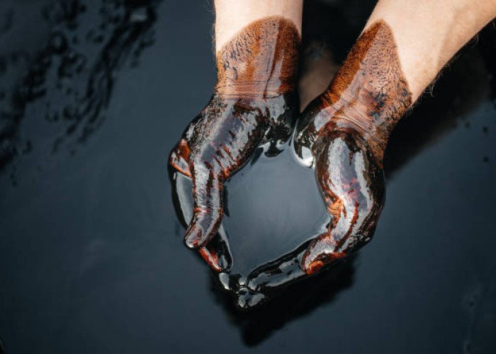 Harga Minyak Mentah Sawit (CPO) Turun 6,07 Persen November 2026