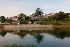 Jakarta di Tengah Langkah Bedah Rumah