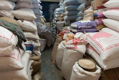 Harga Beras Tembus Rp16.495 per Kg, Ini Kata BPS