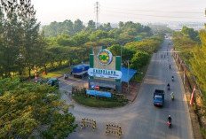 DMAS Percaya Diri Revisi Target Prapenjualan 2026, Sentuh Rp2,95 Triliun