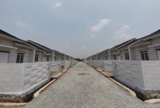 Asosiasi Developer Ini Serap Dana Rumah Subsidi Rp8,63 Triliun