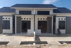 Begini Realisasi KPR FLPP Semester Pertama 2026, Pemain Utama Turun