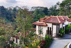 Kepercayaan Investor Hotel Bali Masih Tinggi