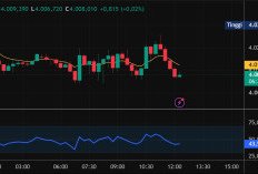XAU/USD Naik ke US$4.072, Analis Dupoin Soroti Support US$3.988