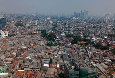 Begini Market Share Rumah Subsidi Lima Asosiasi, Asprumnas Naik Kelas