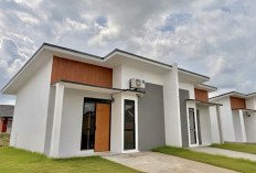 Pinhome Menangkap Sinyal Pembeli Rumah Kian Selektif