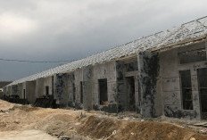 Realisasi FLPP Baru 52,67%, Kemen PKP Genjot Penyaluran Rumah Subsidi