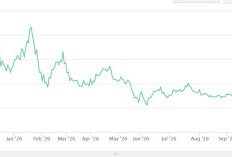 Transaksi Saham BUVA Tembus Rp285 Miliar
