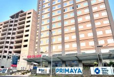 Primaya Hospital Kelapa Gading Hadirkan MitraClip, Terapi Kebocoran Katup Jantung