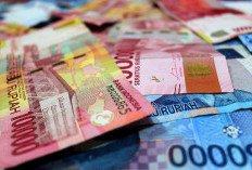 Pemerintah Siapkan BSU 2026 Rp900.000 untuk 13,3 Juta Pekerja
