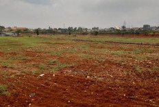 UU Reforma Agraria Resmi Disahkan, Atur Redistribusi Tanah hingga Konflik Agraria