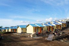 Ada 1,1 Juta Unit Rumah Subsidi Baru Terbangun hingga Oktober 2026