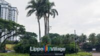 lpkr lippo village capt ar 24